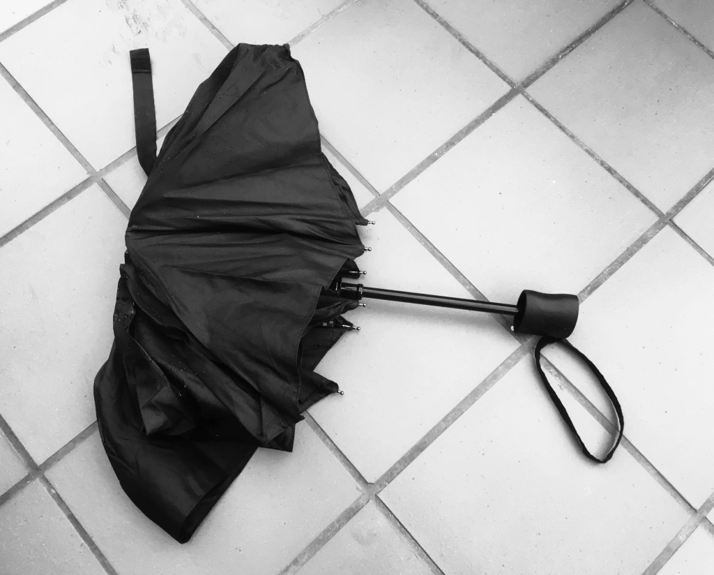 The umbrella
